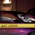San Antonio Unattended Death: Analysis of Public-Private Surveillance Gaps