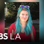 Uber Ordered to Pay $40 Million in Fatal Freeway Crash Case