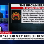 Katmai National Park Launches Fat Bear Week: Tracking Brooks River Brown Bear Hyperphagia