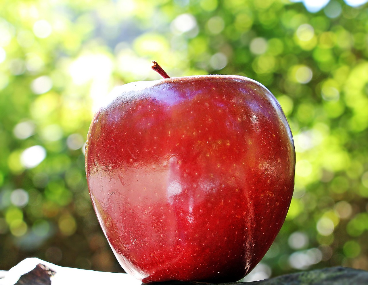 Apple Schedules iOS 27 and Siri AI Release for September 14