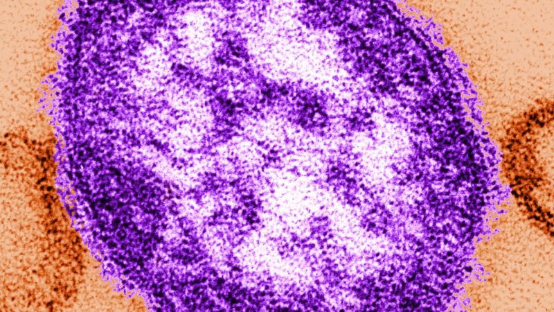 Pennsylvania Measles Outbreak: Unvaccinated Adult is Third Fatality Amidst 35-Year Peak