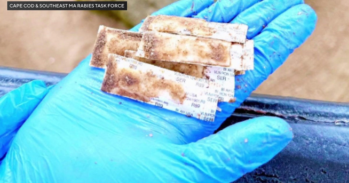 CDC Issues National Rabies Advisory Over Surging Exposures and PEP Administration Errors