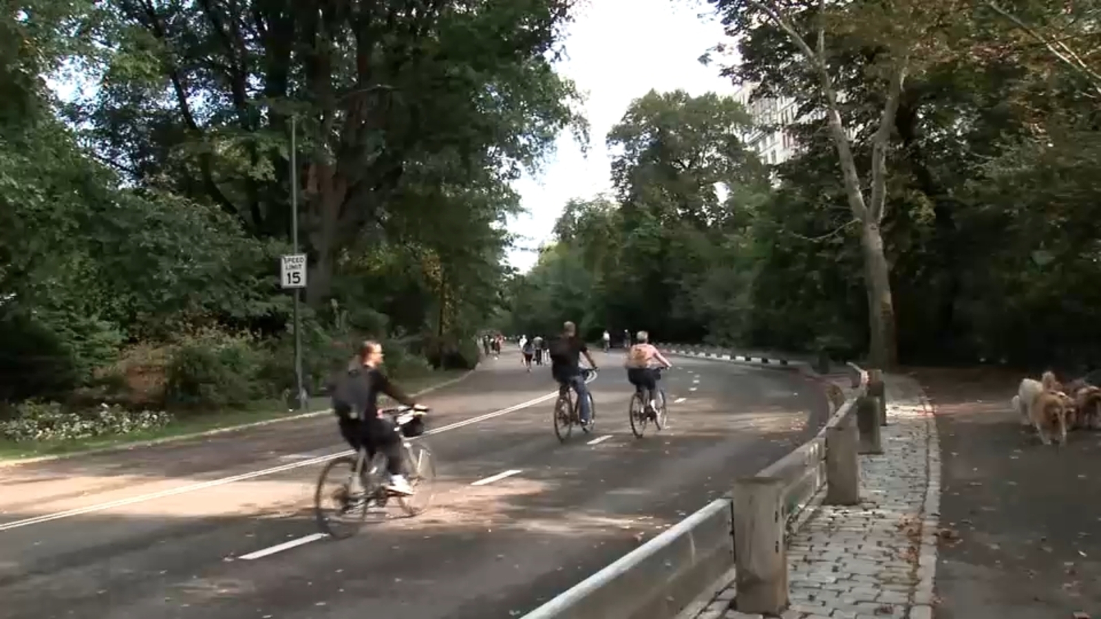 Central Park Cyclist Fatality Exposes Gaps in Urban Park Safety and Enforcement