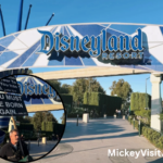 Disneyland Perimeter Sidewalk Disputes Test Anaheim Municipal Jurisdiction