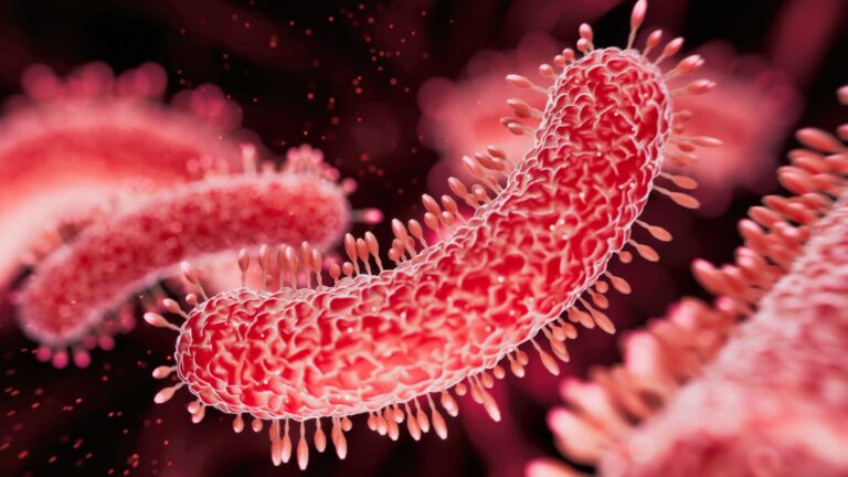 Sexually Transmitted XDR Shigella in the US: Surveillance and Clinical Resistance