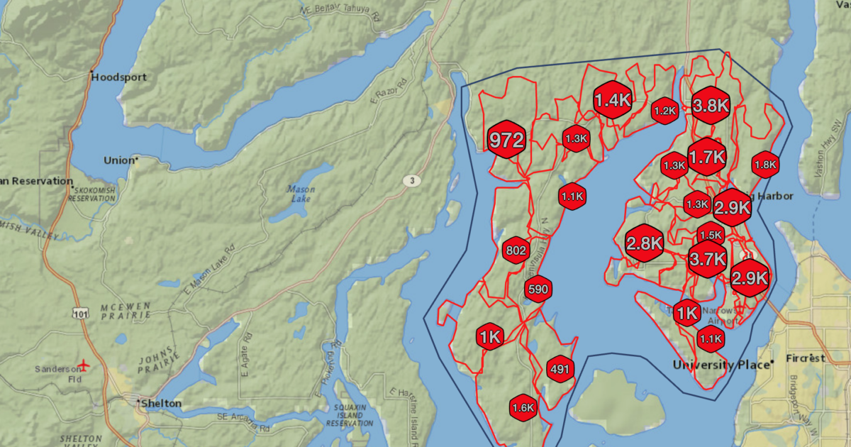 Pearl Substation Failure: Analyzing Systemic Risks in Tacoma’s Regional Grid
