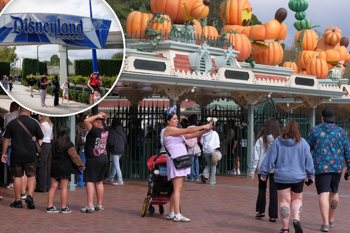 Disneyland Perimeter Sidewalk Disputes Test Anaheim Municipal Jurisdiction