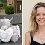 The Murder of Dr. Hannah Cain: Institutional Resilience and Royal Medical Governance