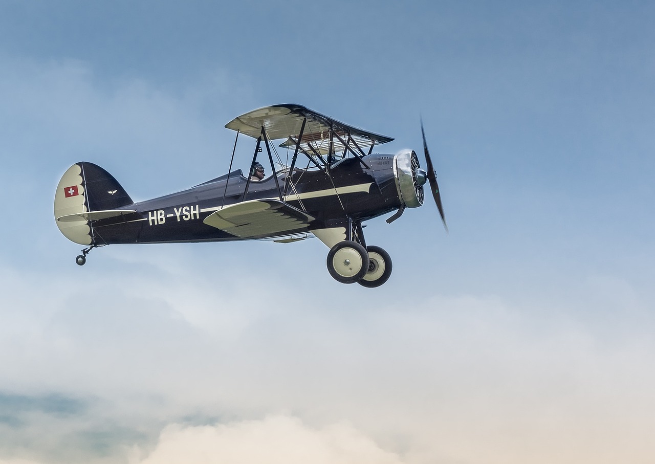 Elsbeth Season 2 Analysis: IP Strategy, Nielsen Metrics, and the King-verse Expansion