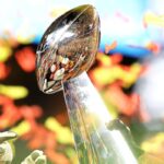 MNF NFL Draft Strategy: Saints vs. Falcons Week 4 Breakdown
