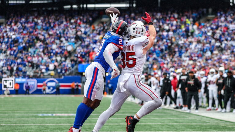 NFL Investigates Official Over Alleged Profanity at Player
