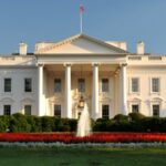 US Legal Immigration from Muslim-Majority Nations: A 96% Collapse and Its Geopolitical Impact
