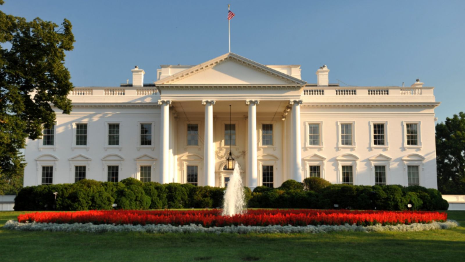 US Legal Immigration from Muslim-Majority Nations: A 96% Collapse and Its Geopolitical Impact